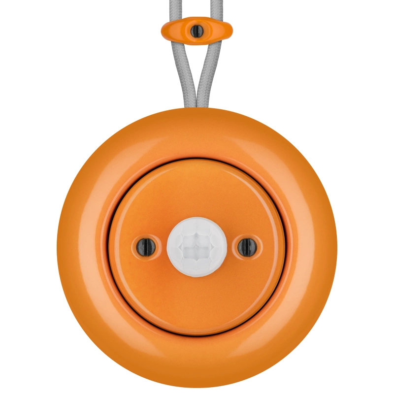 CAROTA